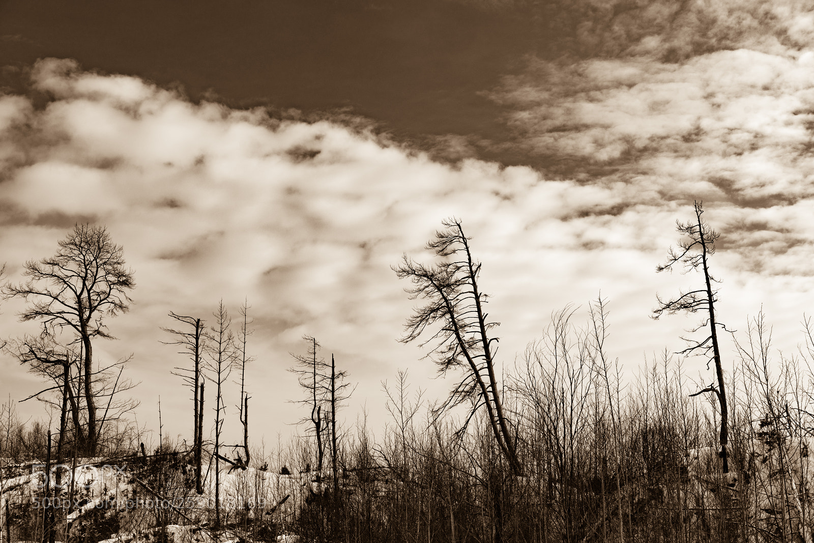 Sony a7R II sample photo. Sky. photography