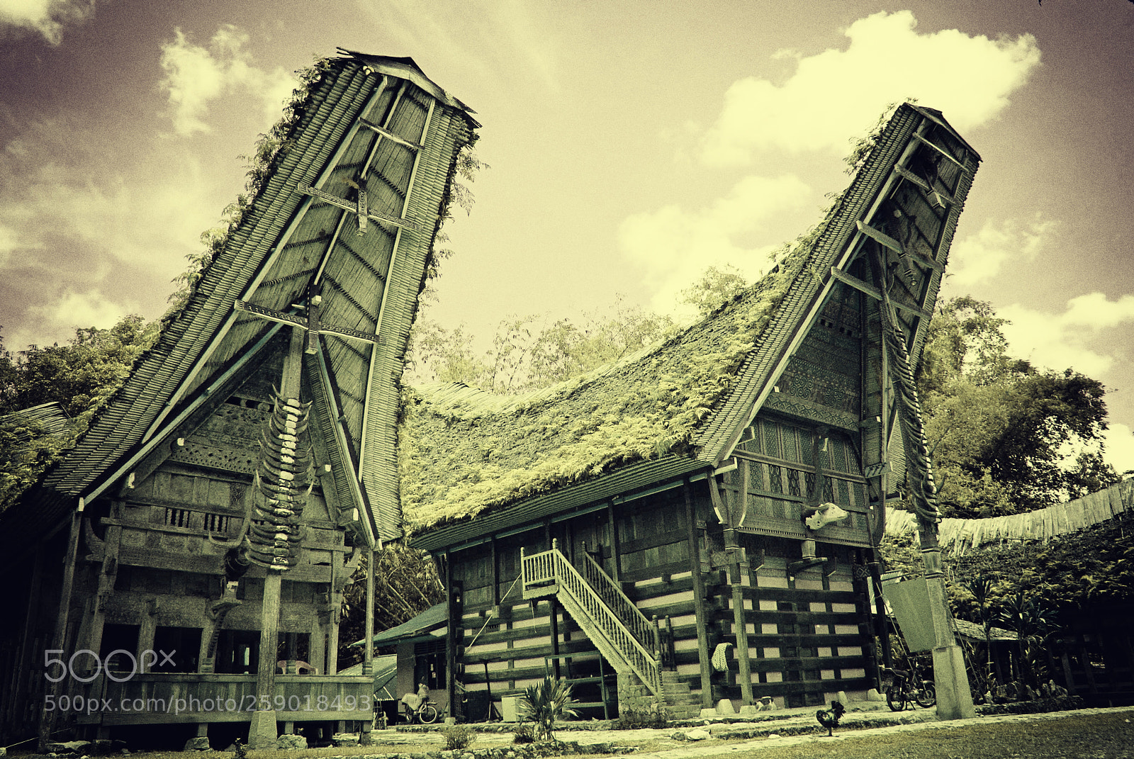 Sony Alpha DSLR-A200 sample photo. Once again toraja house photography