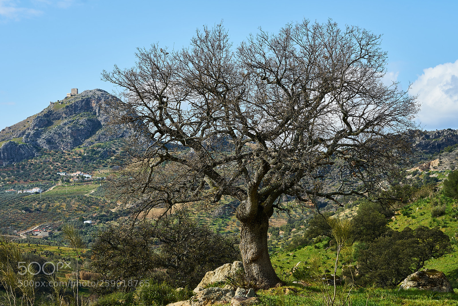 Sony a7 II sample photo. Winter in andalusien photography