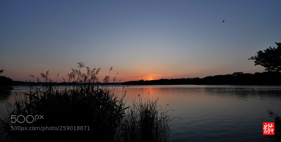 Sony a7R III sample photo. Sunrise 0522 photography