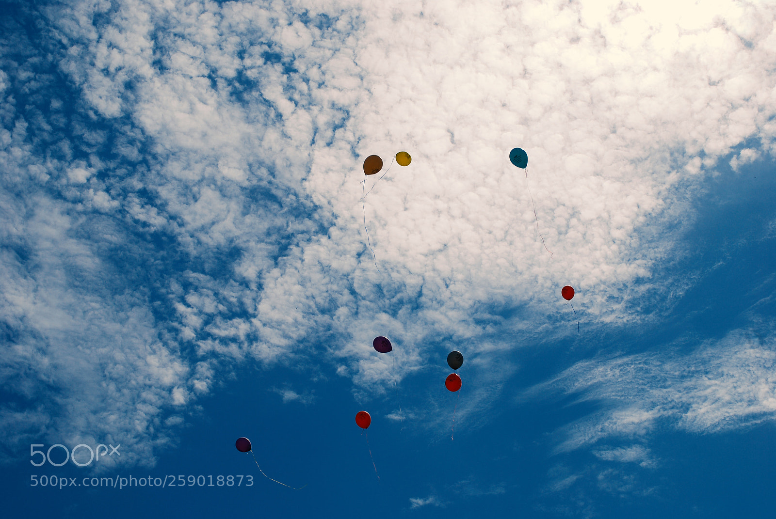 Nikon D60 sample photo. Colors in the sky photography