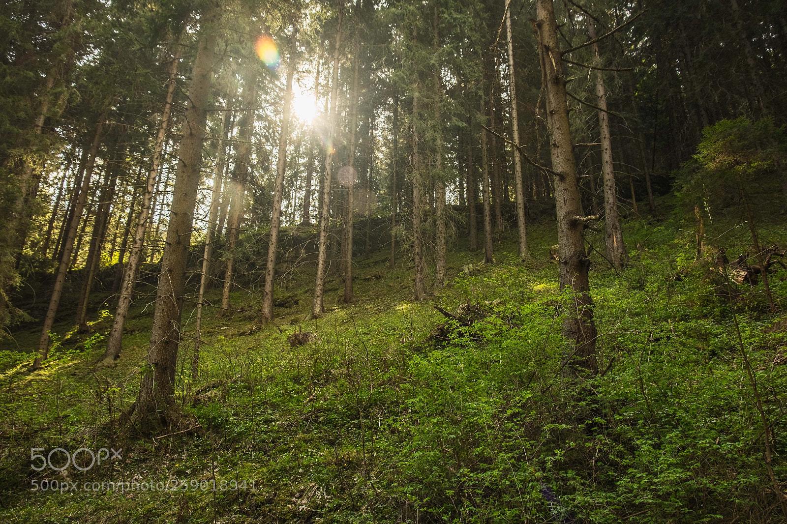 Fujifilm X-T1 sample photo. Mountains photography