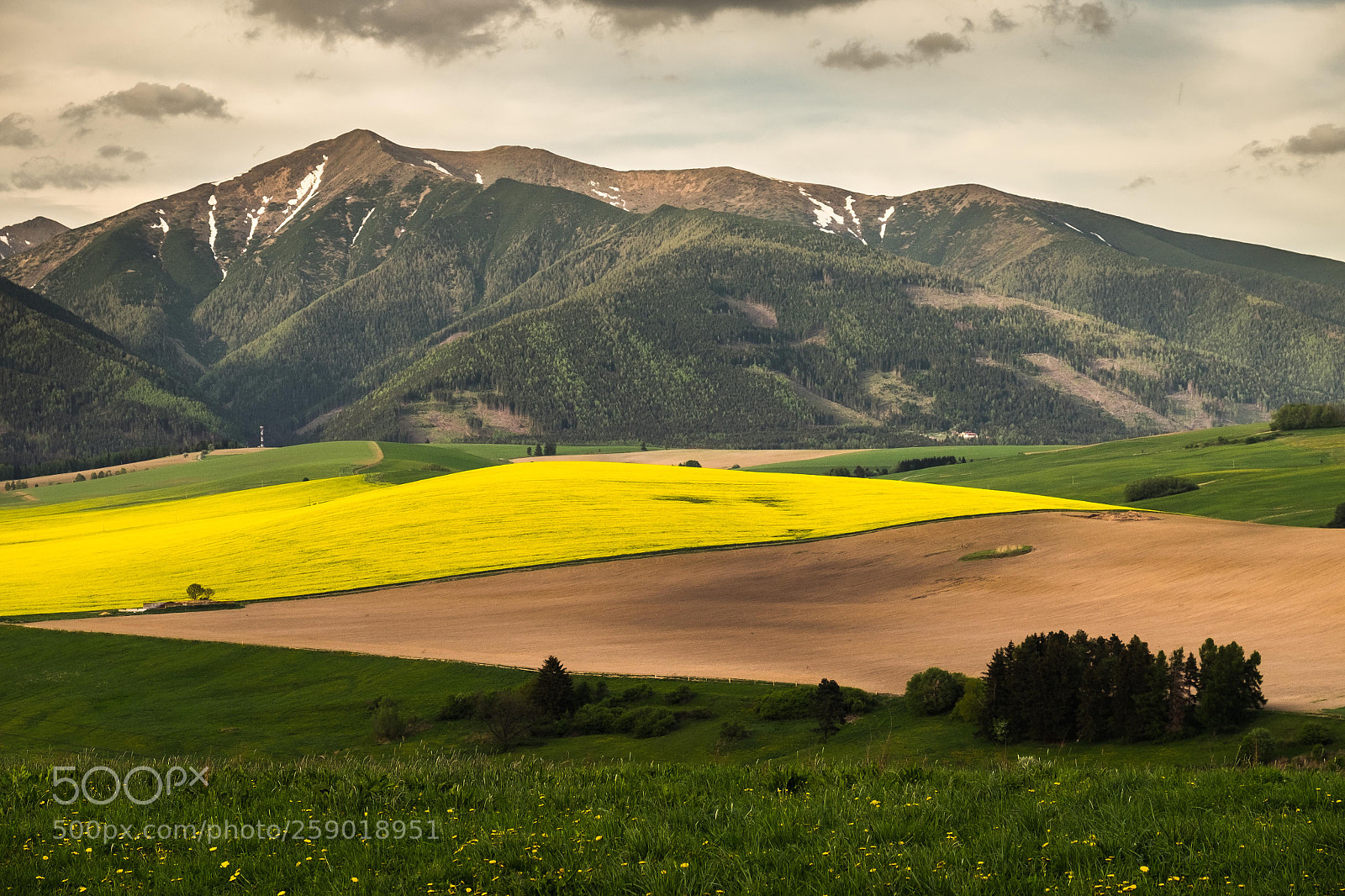 Fujifilm X-T1 sample photo. Mountains photography