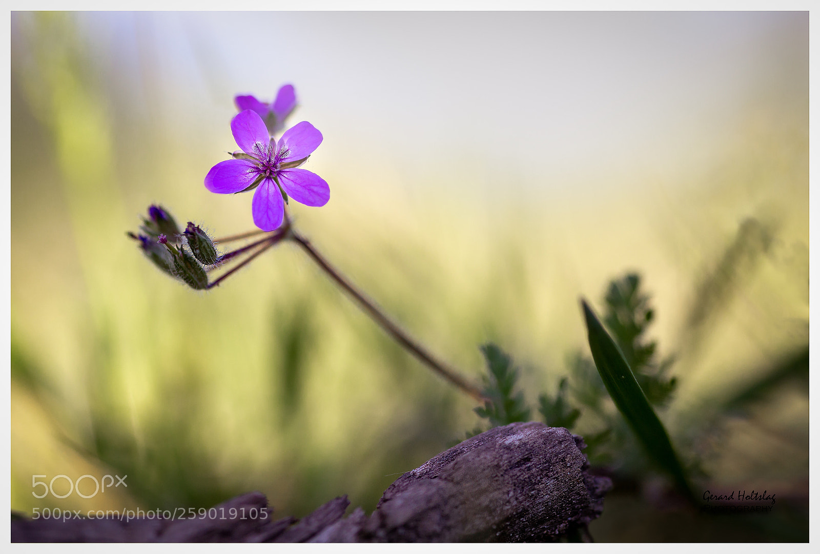 Canon EOS 6D sample photo. Untitled photography
