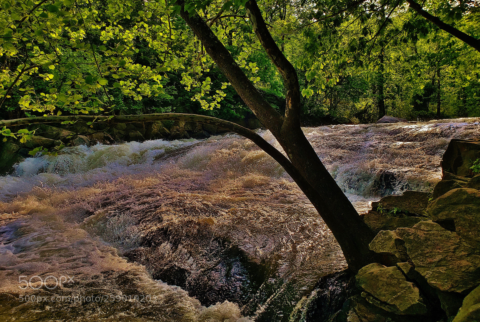 Samsung Galaxy S9+ sample photo. Mckeldin rapids spring scene 2018 photography