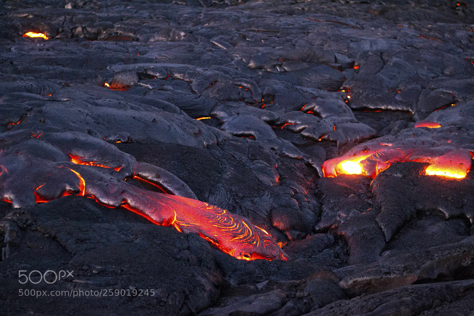 Nikon D3100 sample photo. Yesterday at hawaii island  photography