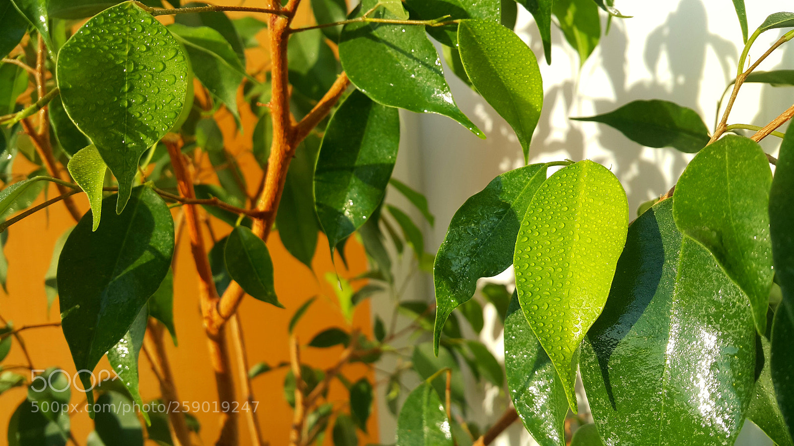 Samsung Galaxy Note4 sample photo. Untitled photography