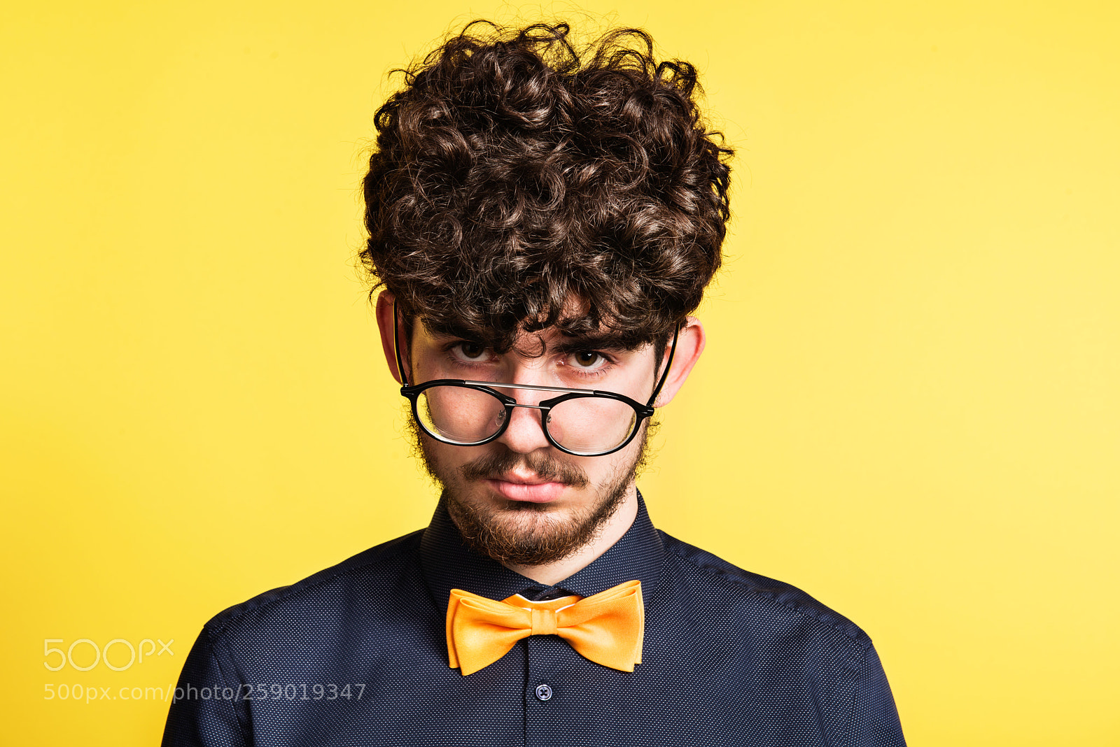 Nikon D800 sample photo. Portrait of a young photography