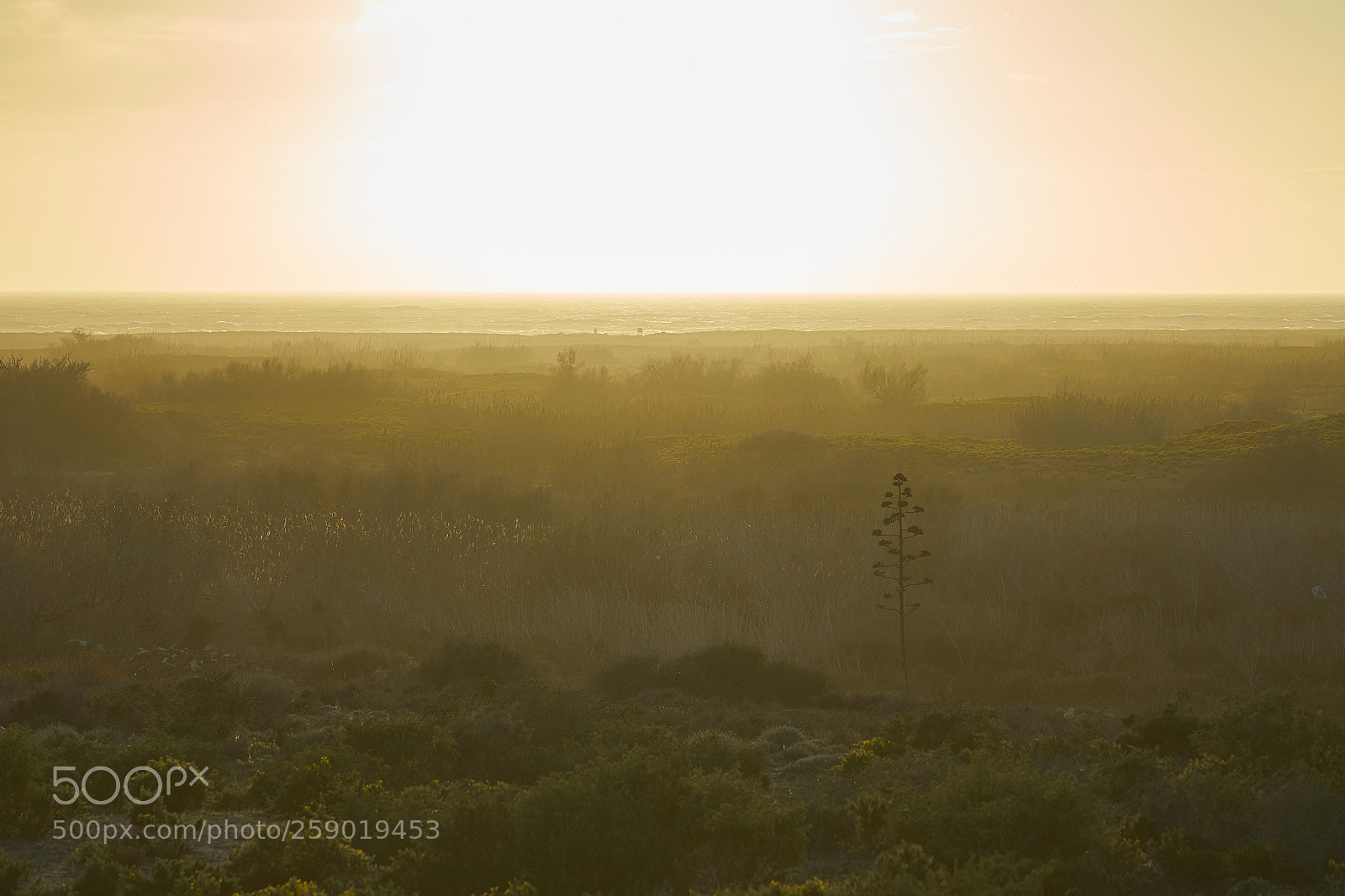 Sony a7 II sample photo. Ruhe am cabo de photography