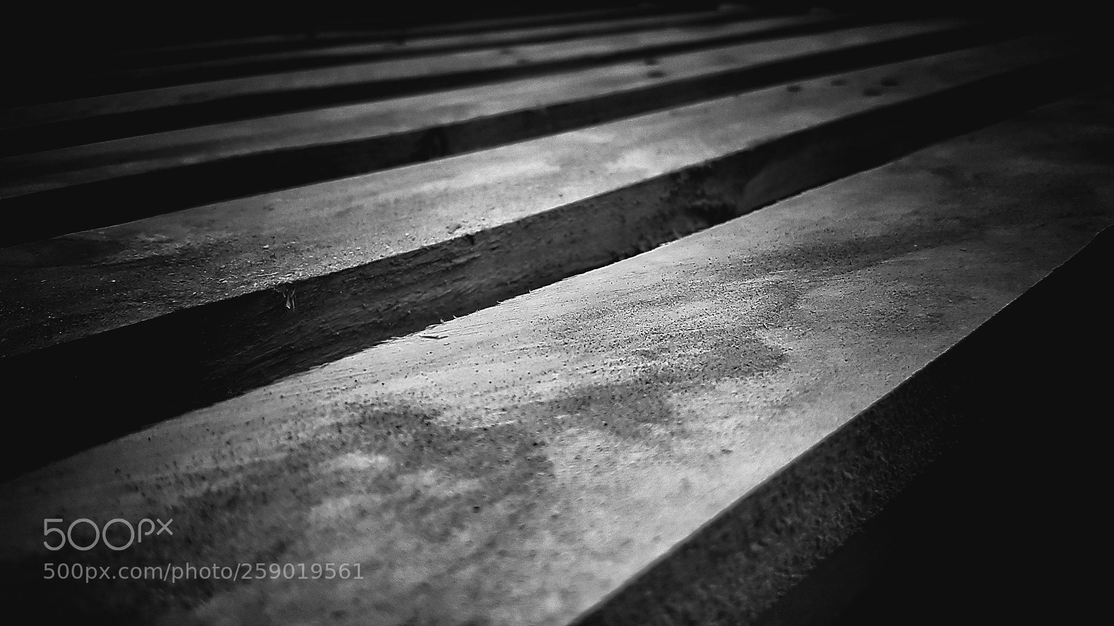 Samsung Galaxy S7 Edge sample photo. Wood photography