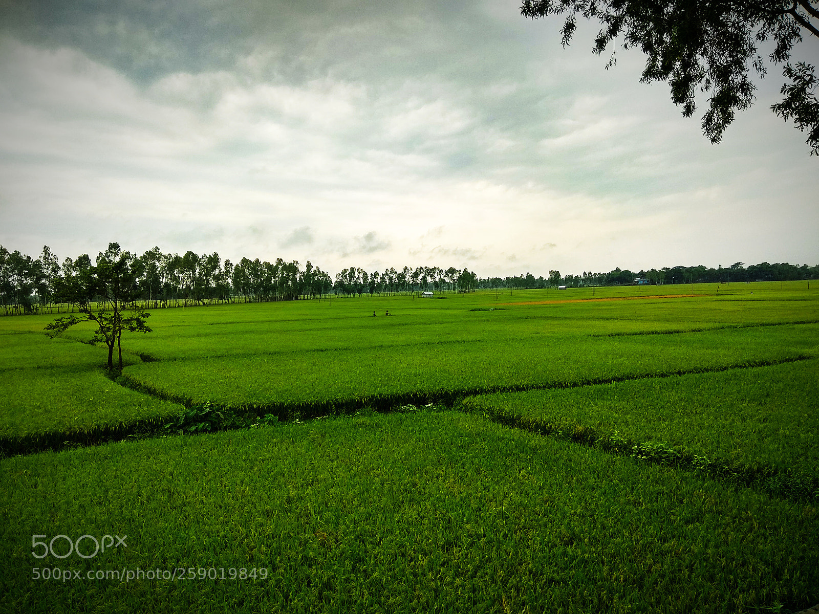 Xiaomi Redmi Note 4 sample photo. Untitled photography