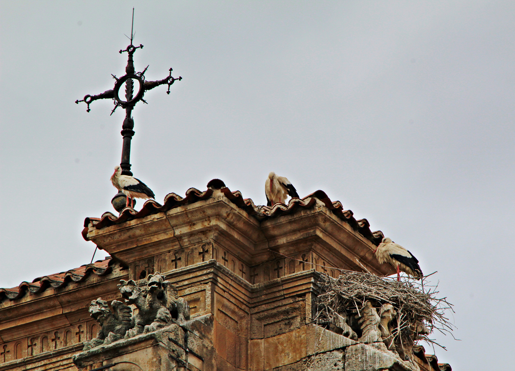 Canon TS-E 90mm F2.8 Tilt-Shift sample photo. Tres señoras photography