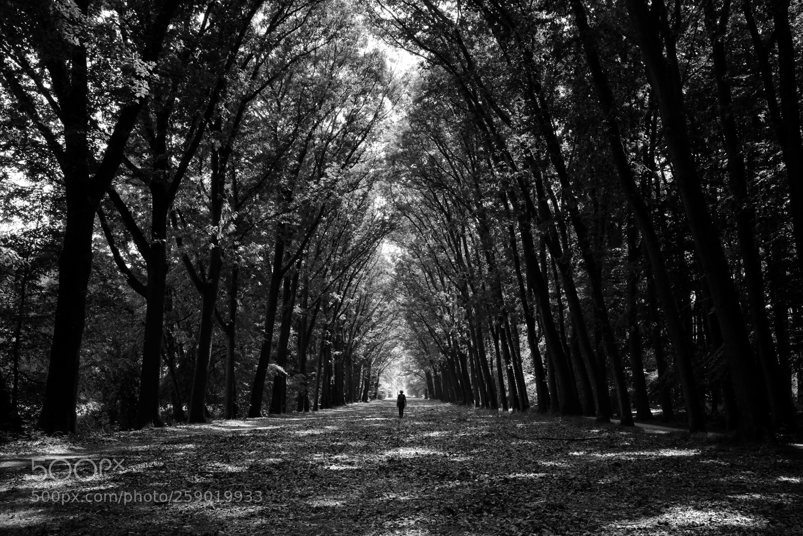 Fujifilm X100S sample photo. Consciousness photography