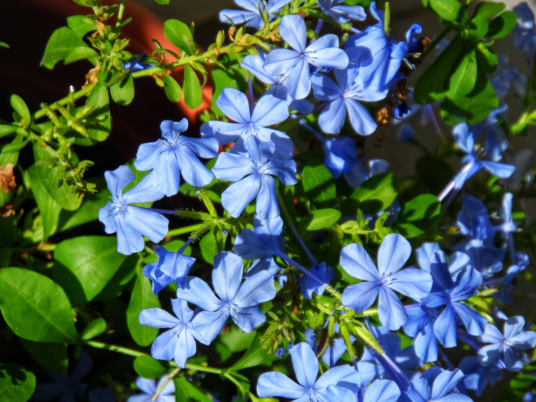 Samsung WB150 / WB150F / WB152 / WB152F / WB151 / WB151F / WB140 sample photo