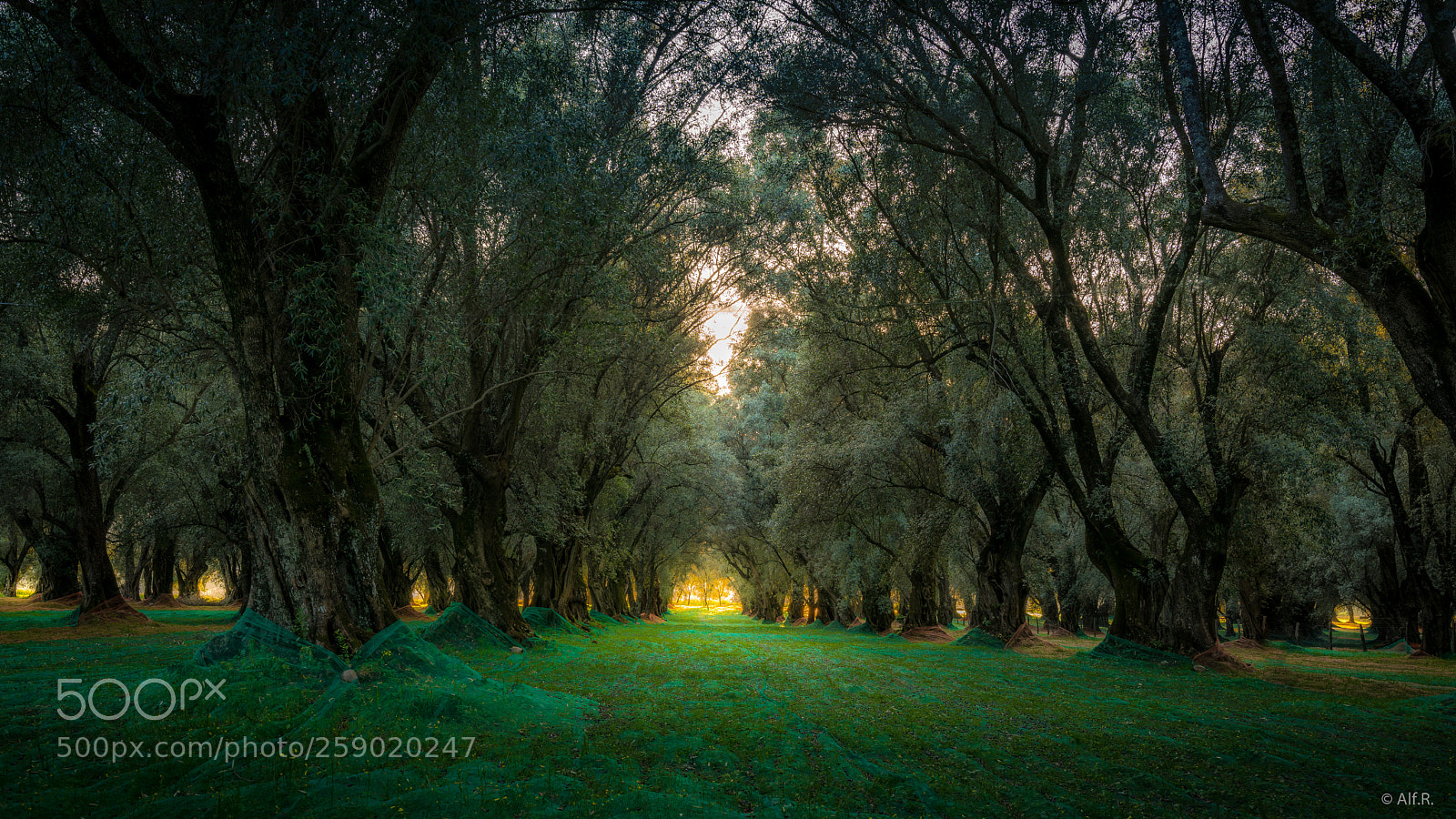 Sony a7R II sample photo. Calabria, impression 34 photography