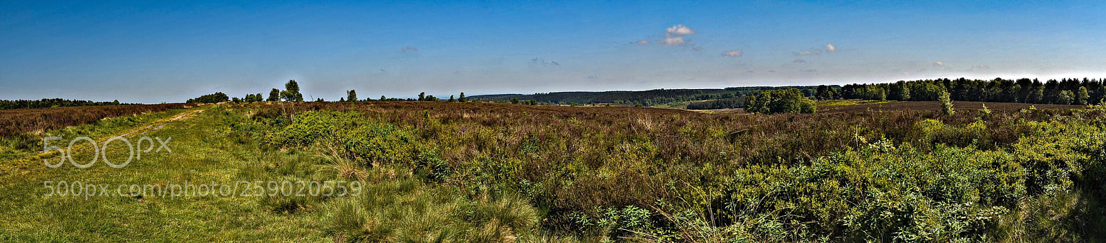 Nikon D7200 sample photo. Panorama of the chase 2 photography