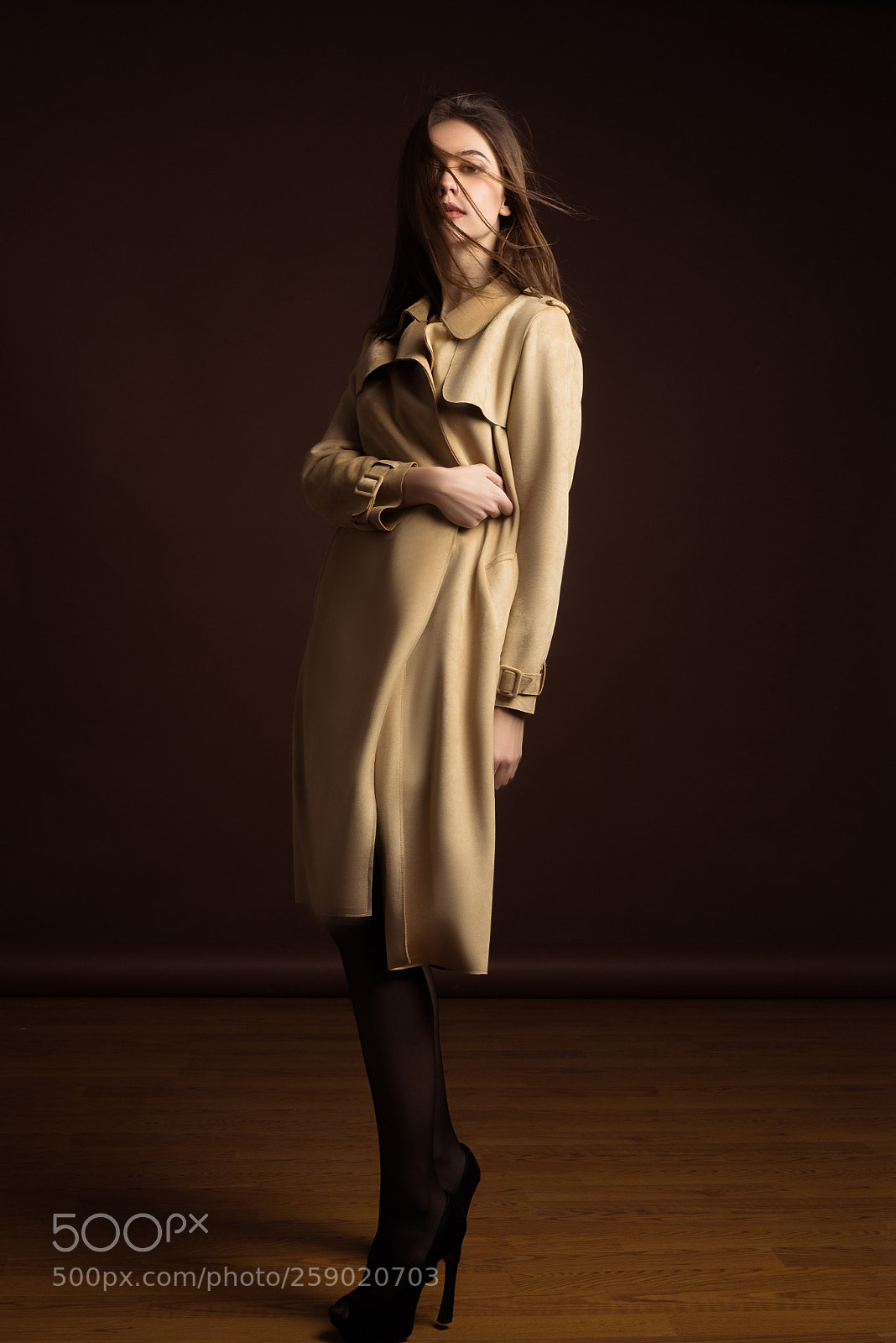 Nikon D610 sample photo. Cold fashion photography