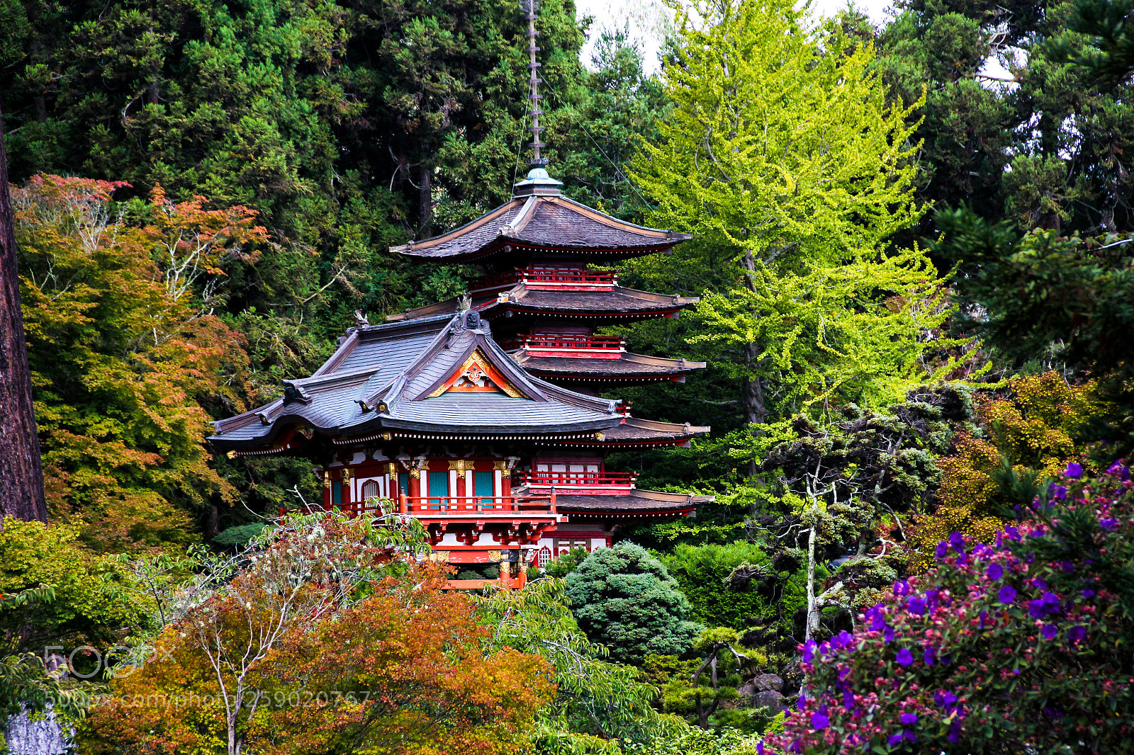 Canon EOS 60D sample photo. Forest temple photography