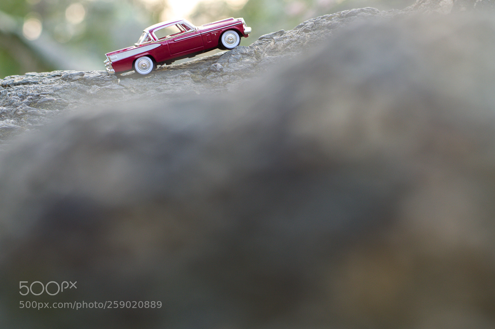 Nikon D3200 sample photo. Go up, Üp, up photography