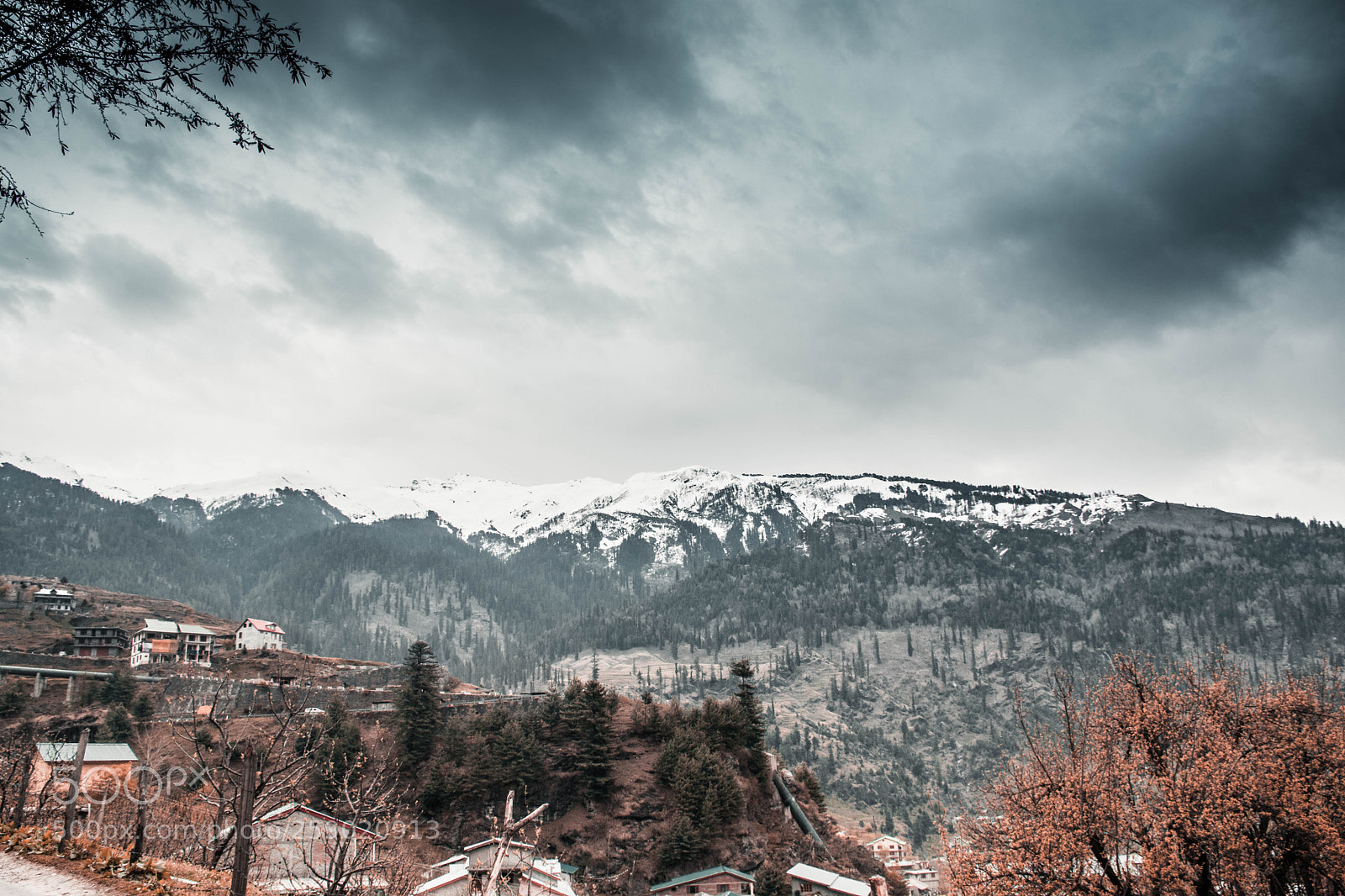 Nikon D7100 sample photo. Untitled photography