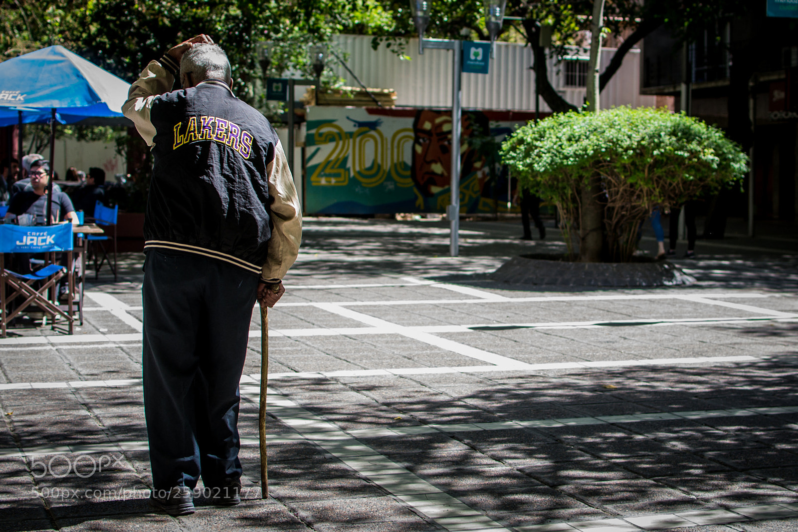Nikon D3100 sample photo. Lakers fan photography