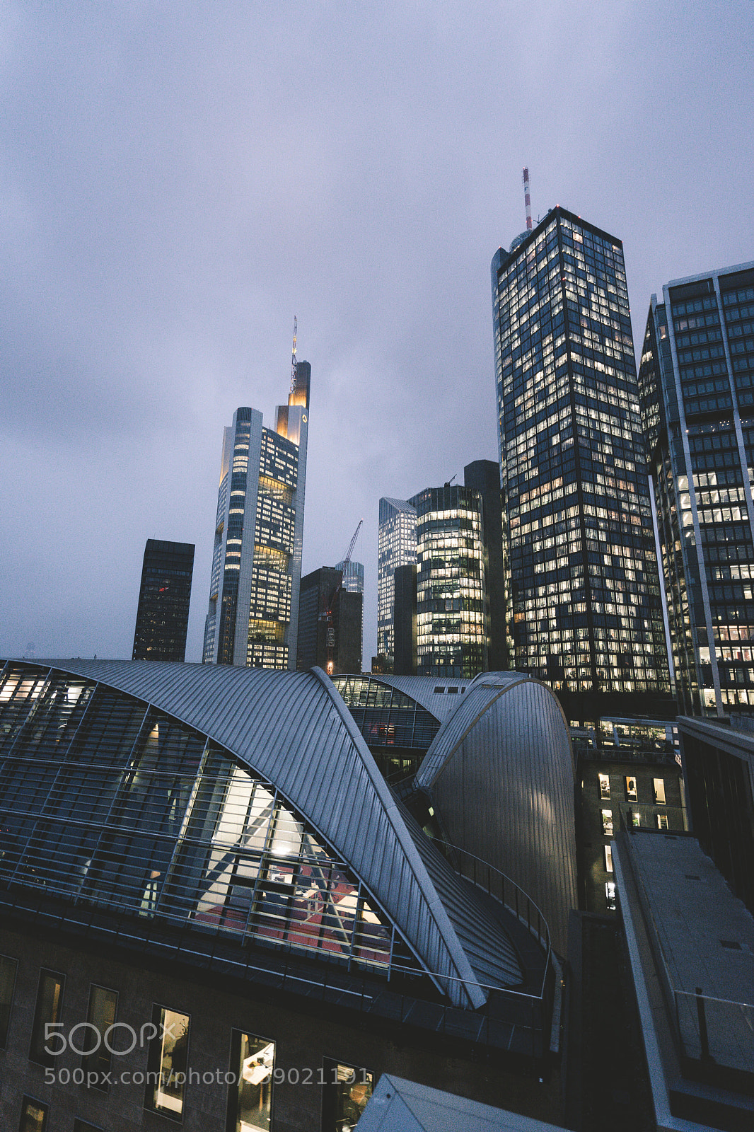 Sony a7 II sample photo. Untitled photography