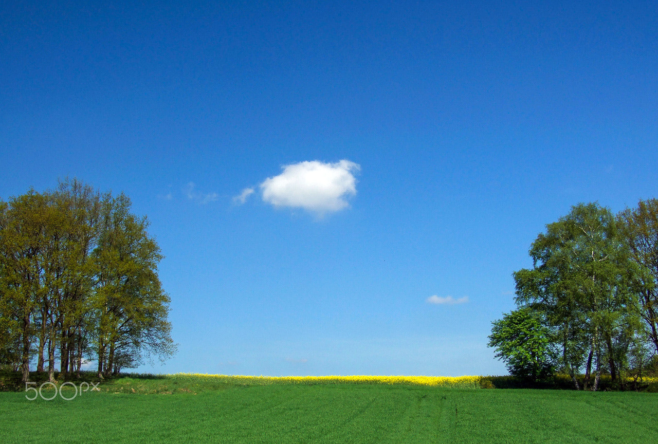 Fujifilm FinePix S9600 sample photo. The little cloud photography