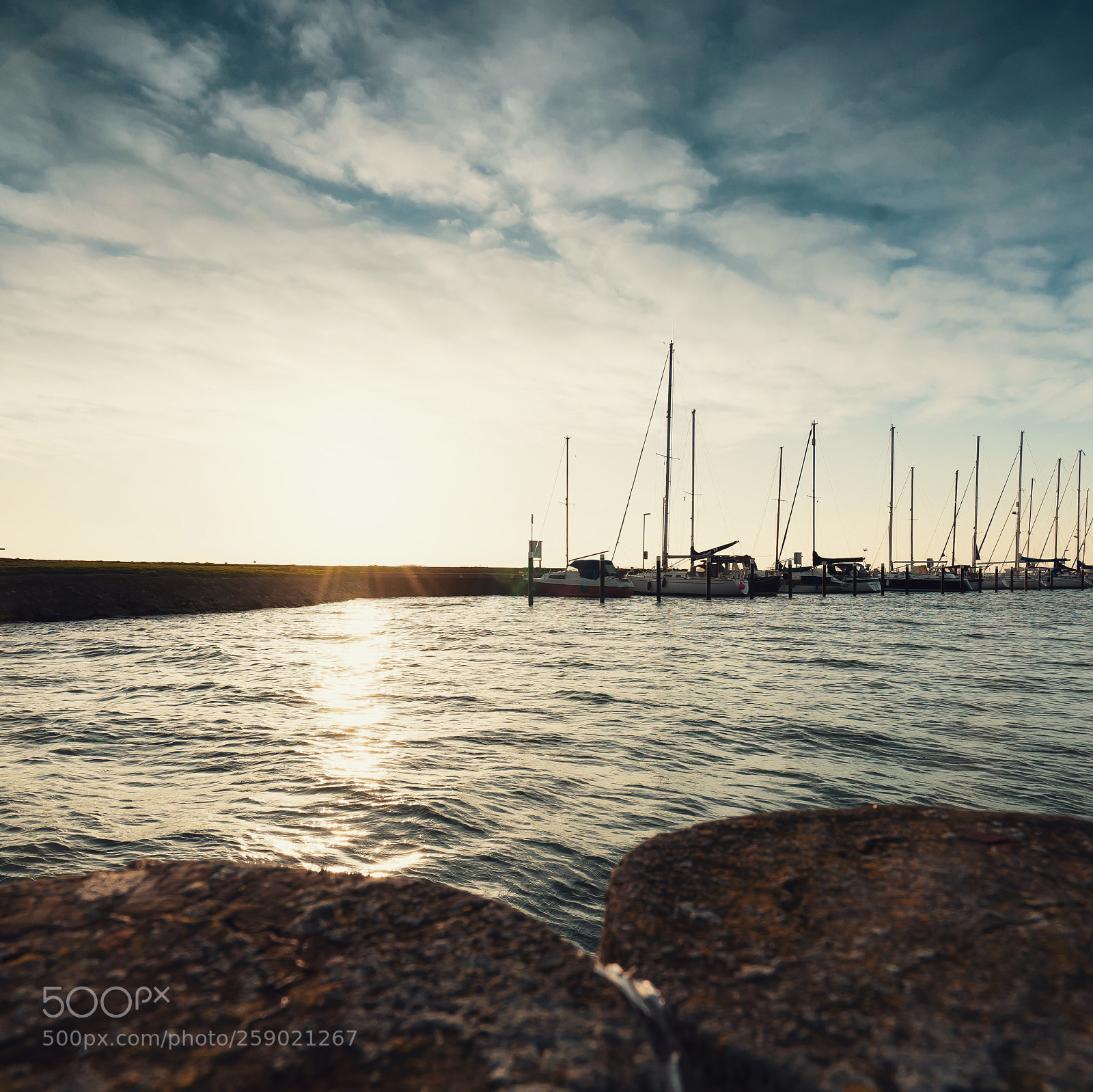 Sony a7 II sample photo. Untitled photography