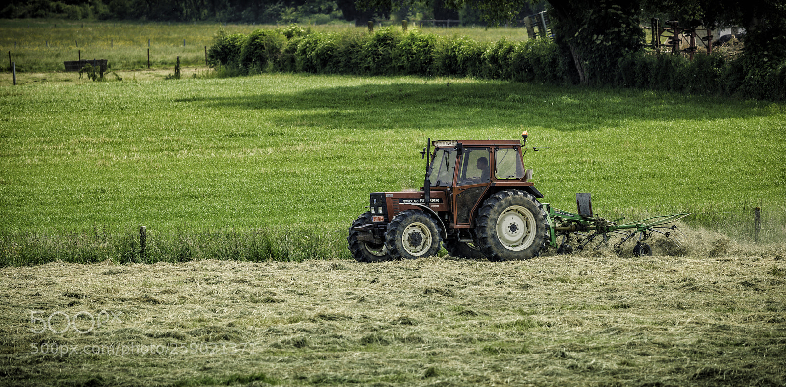 Canon EOS 5D Mark IV sample photo. Mowing photography