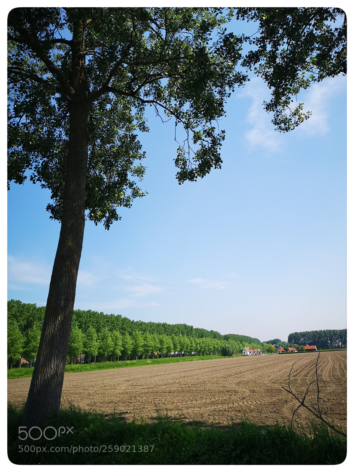 HUAWEI CLT-L29 sample photo. Damme 1 photography