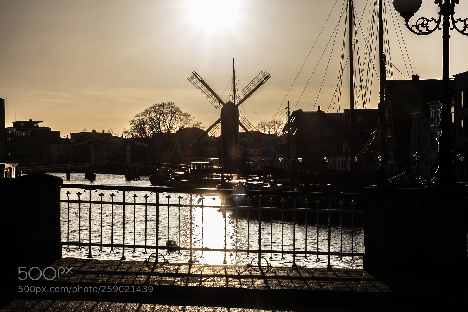 Fujifilm X-T1 sample photo. Against the light photography