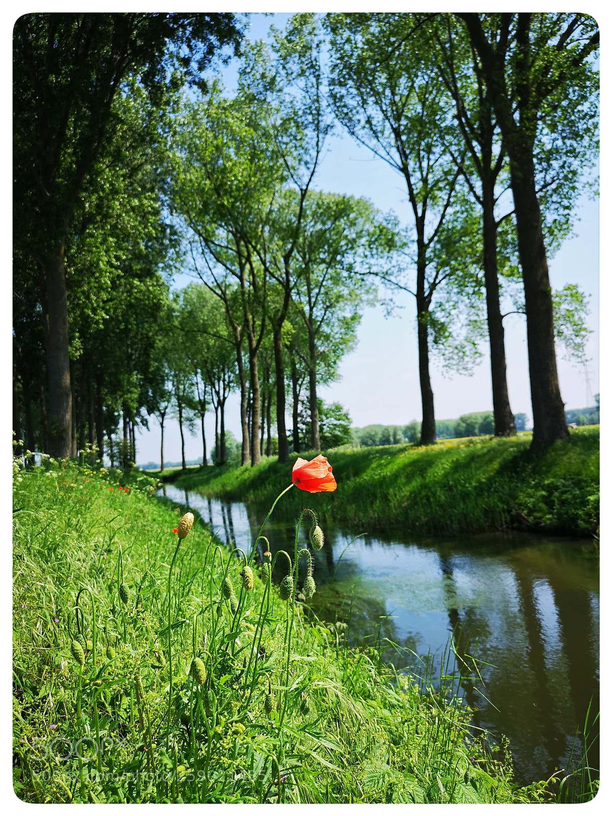 HUAWEI CLT-L29 sample photo. Damme 2 photography