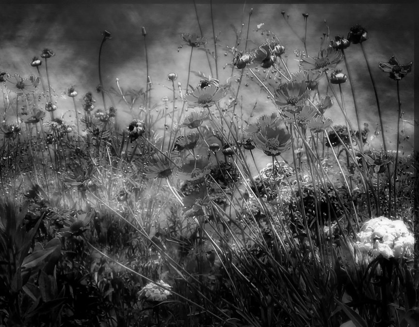 Canon PowerShot G9 X sample photo. Iabstract in b&w photography