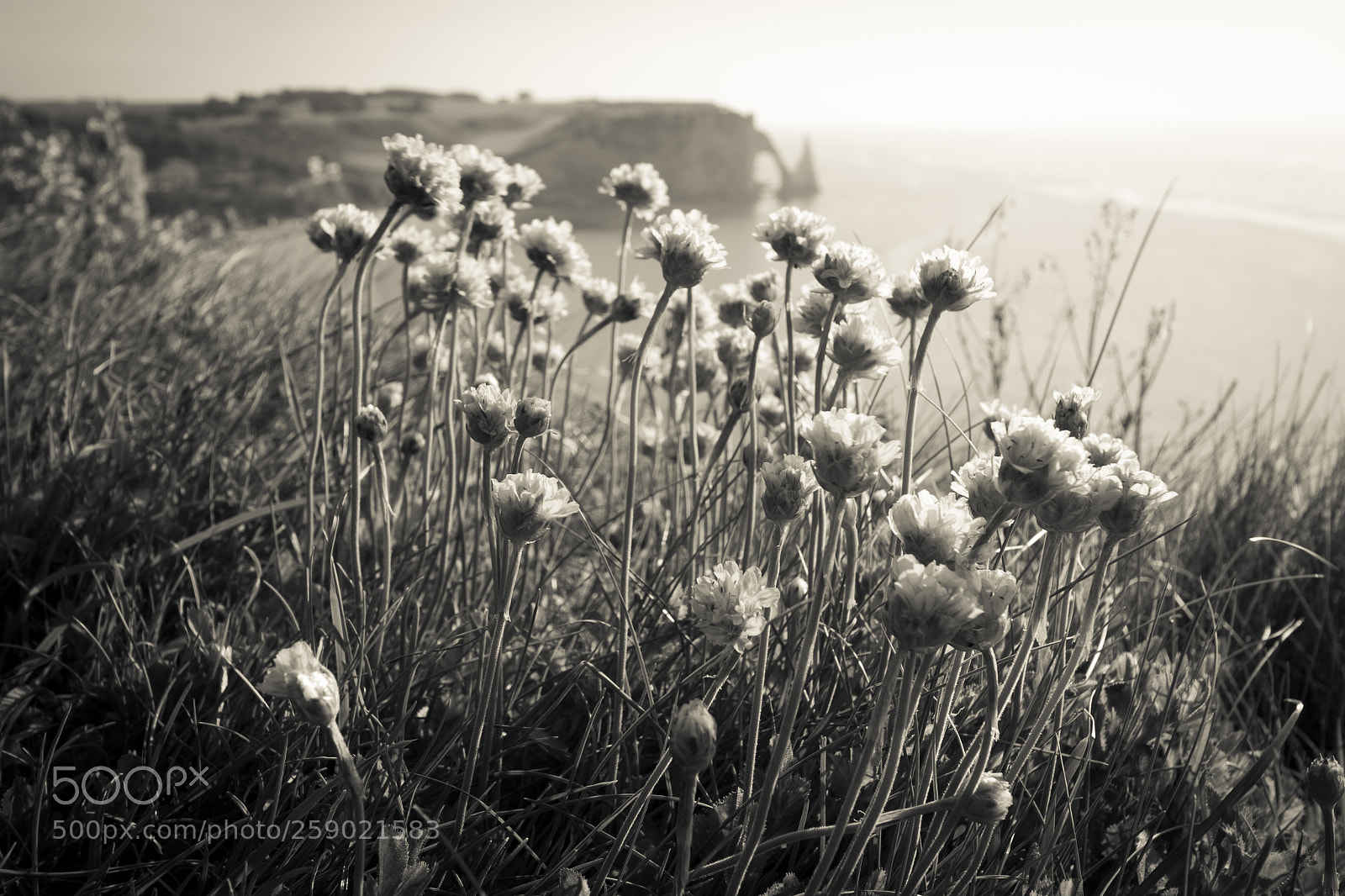 Canon EOS 7D sample photo. Seashore in etretat photography