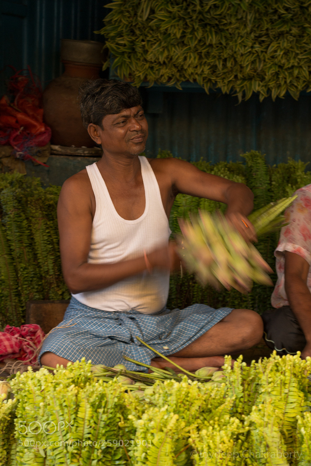 Canon EOS 70D sample photo. Working action . photography