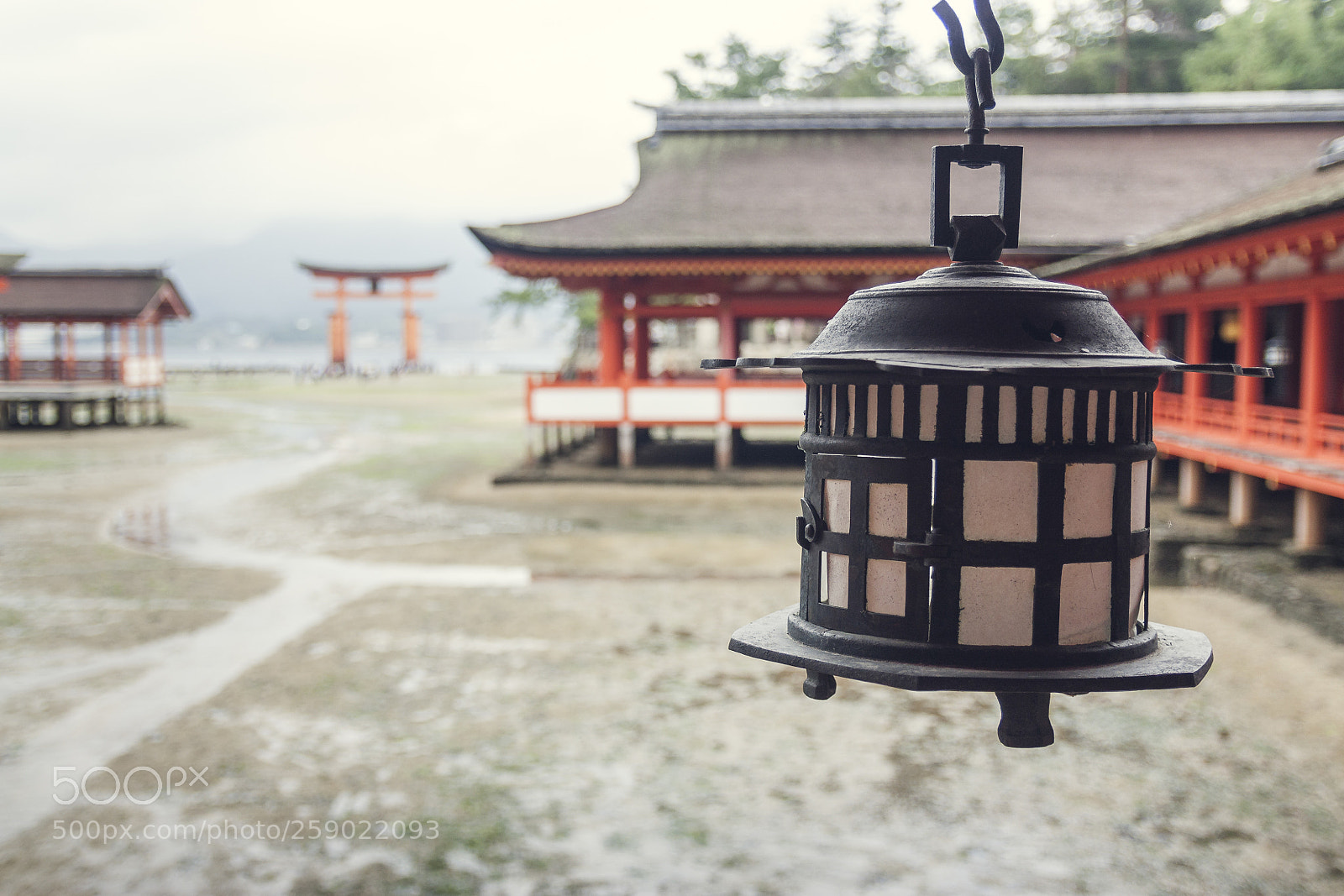 Canon EOS 450D (EOS Rebel XSi / EOS Kiss X2) sample photo. Itsukushima photography
