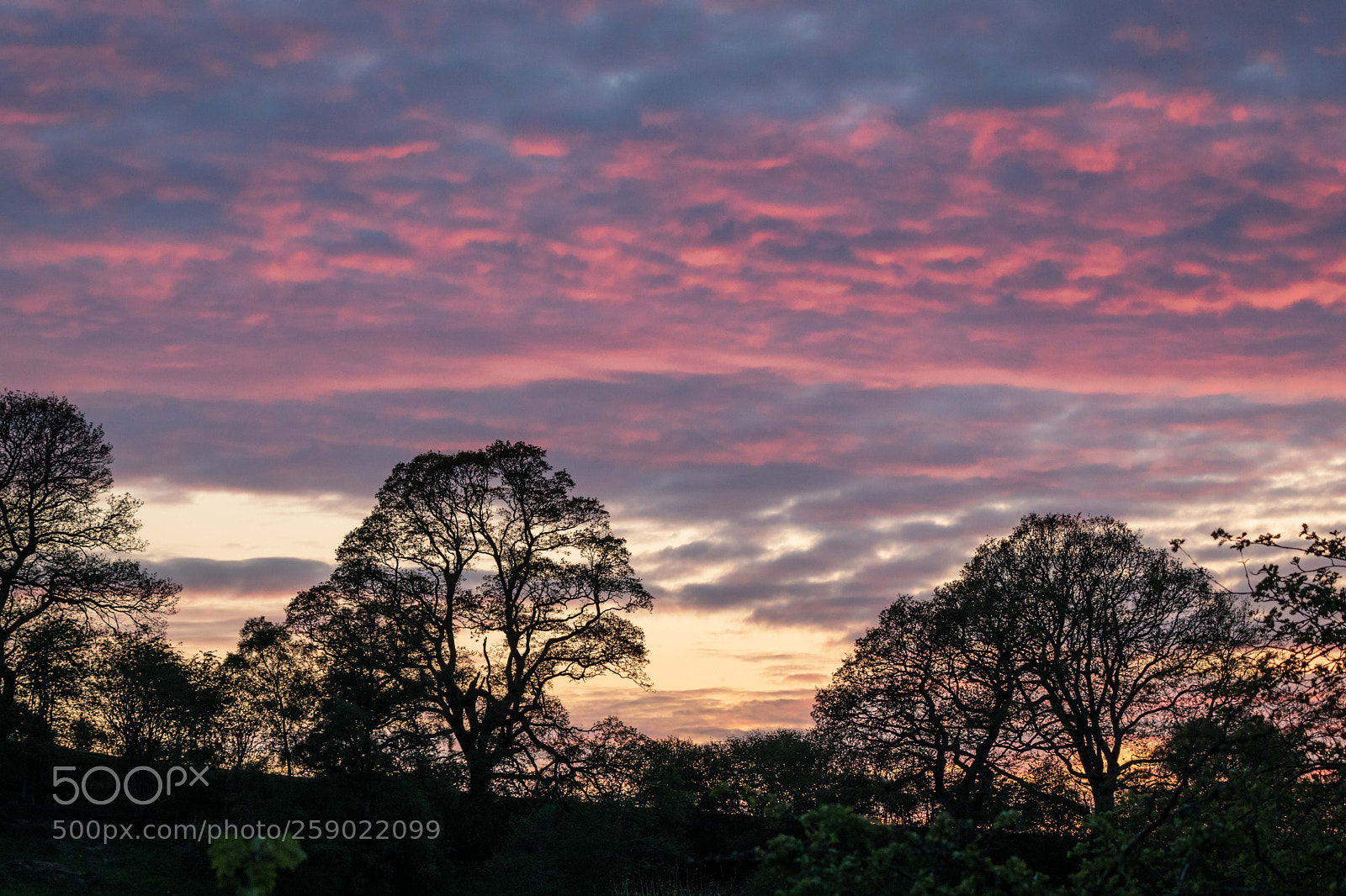 Canon EOS 5D Mark IV sample photo. Fiery sunset photography