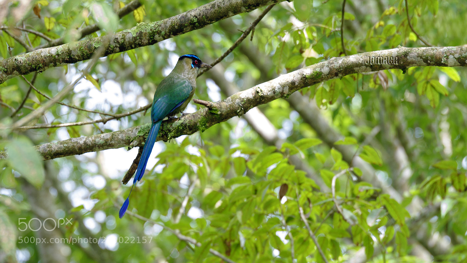 Pentax K-1 sample photo. Blue and green photography