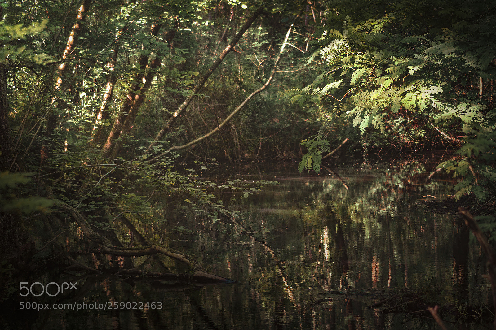 Sony ILCA-77M2 sample photo. The riverside photography