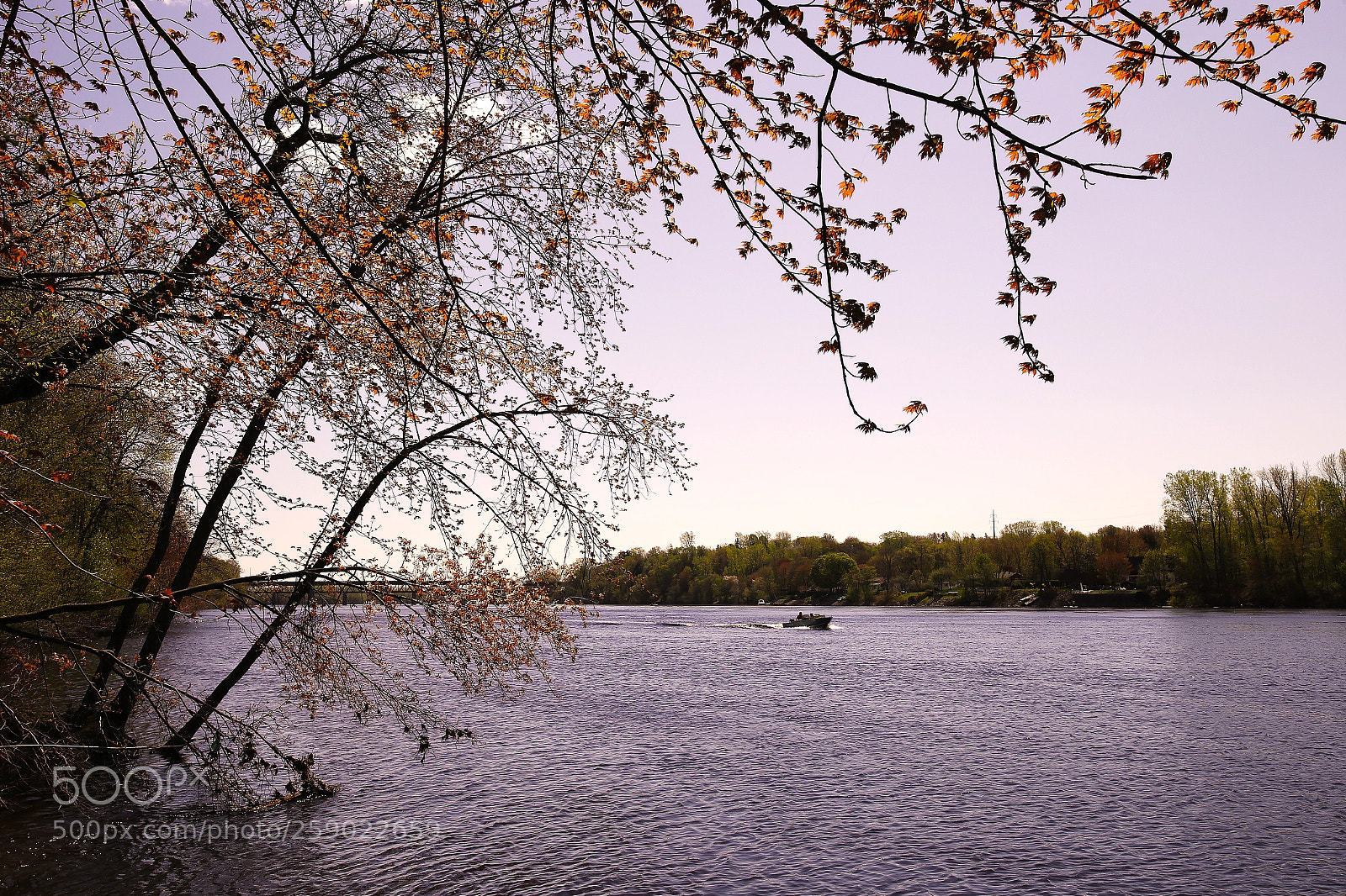 Canon EOS 6D sample photo. Summer vibe photography