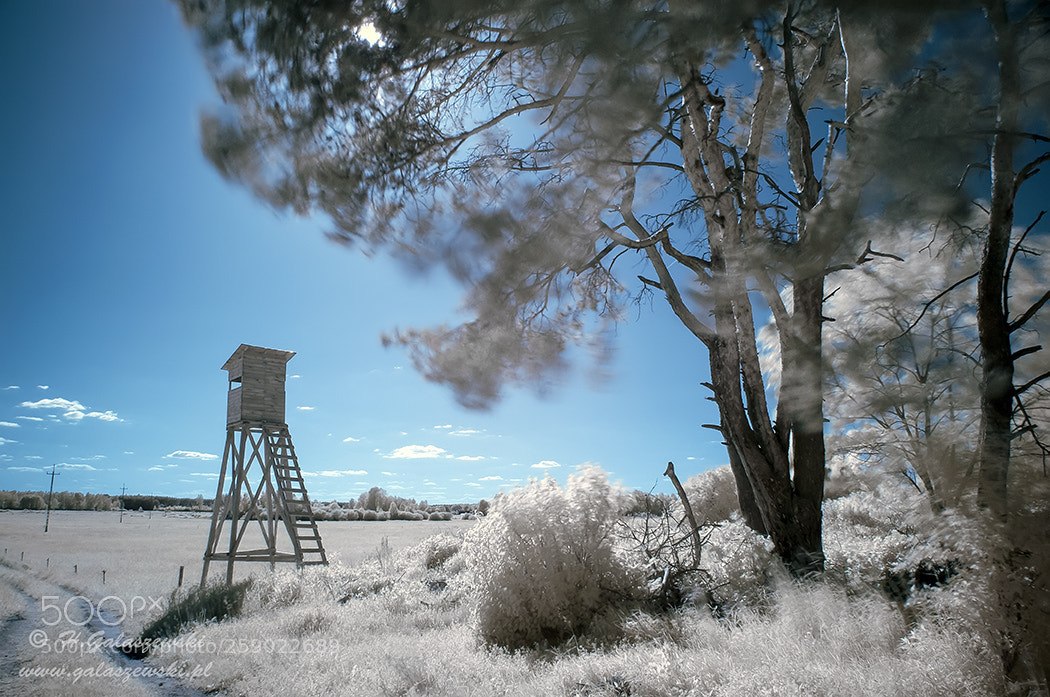 Nikon D300S sample photo. Ir observation point photography
