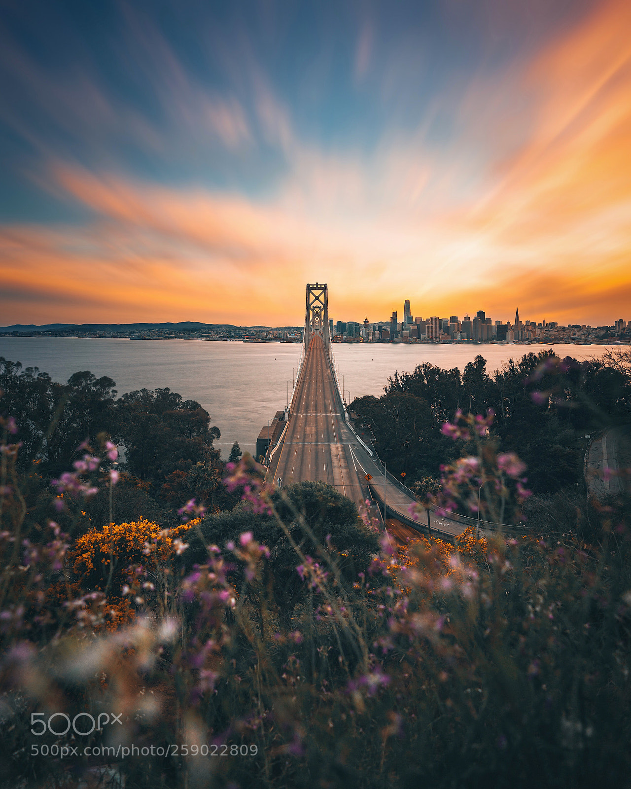 Sony a7R III sample photo. Best view in the photography