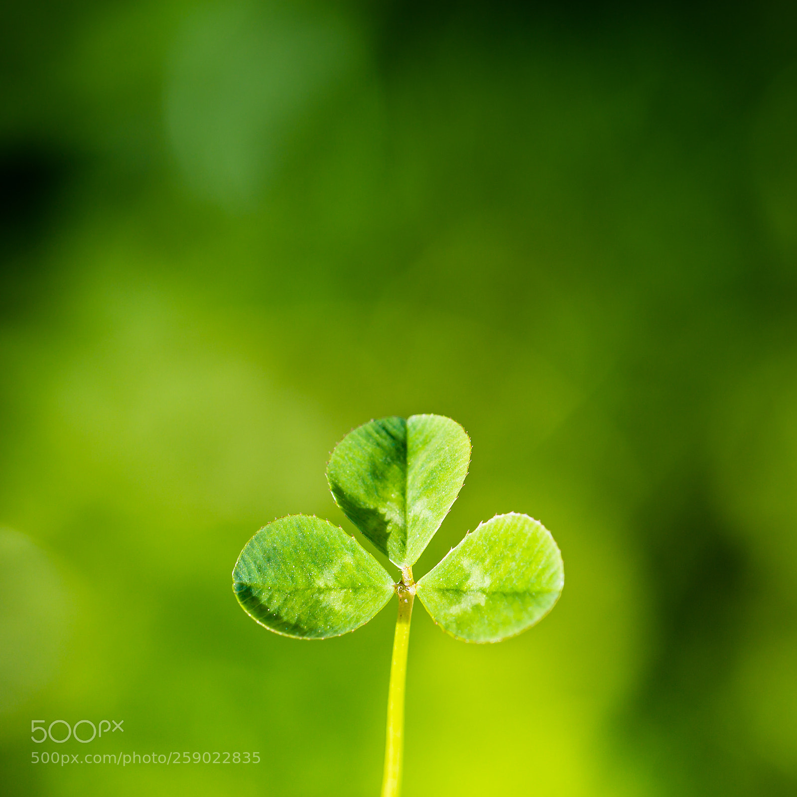 Canon EOS 6D sample photo. Nature photography