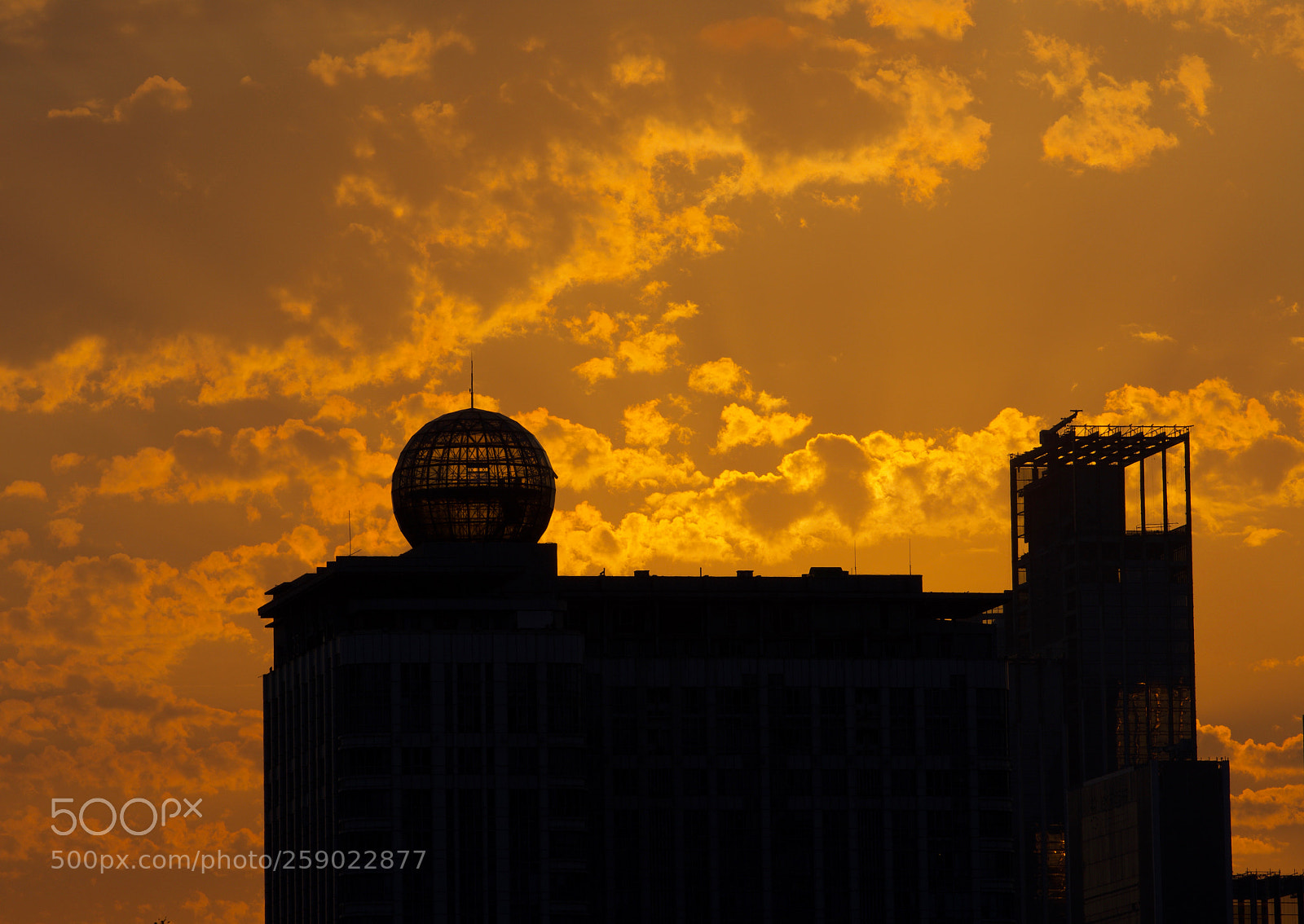 Nikon D7200 sample photo. Golden hour photography