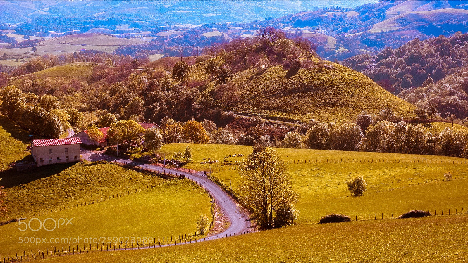 Nikon D70s sample photo. Camino de santiago - 40/50 photography