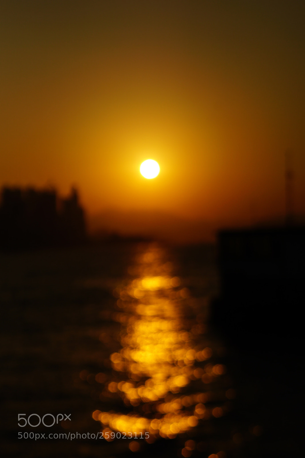 Sony a6000 sample photo. Untitled photography