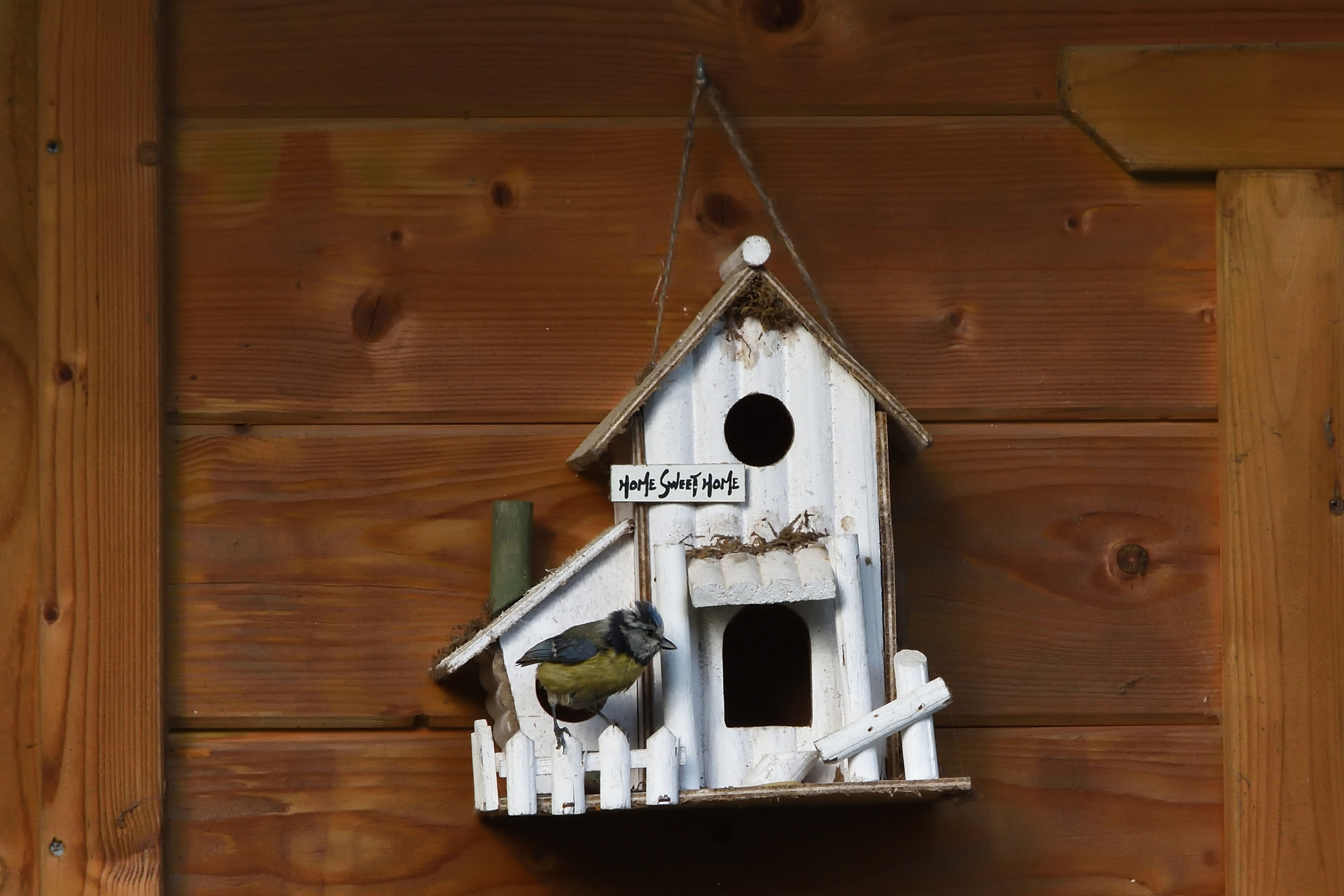 Nikon D7200 sample photo. Home sweet home. photography