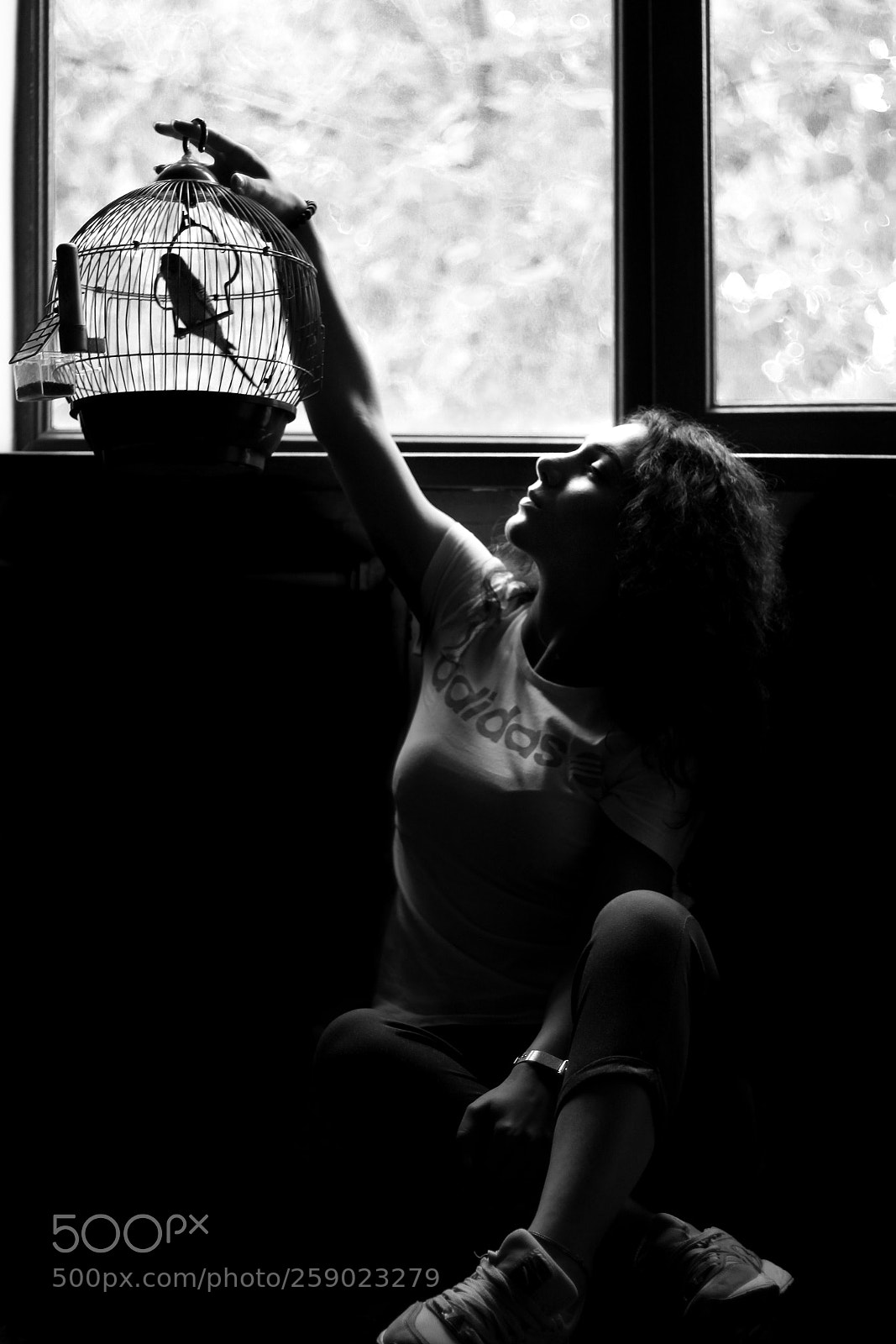 Canon EOS 600D (Rebel EOS T3i / EOS Kiss X5) sample photo. Girl and parrot photography