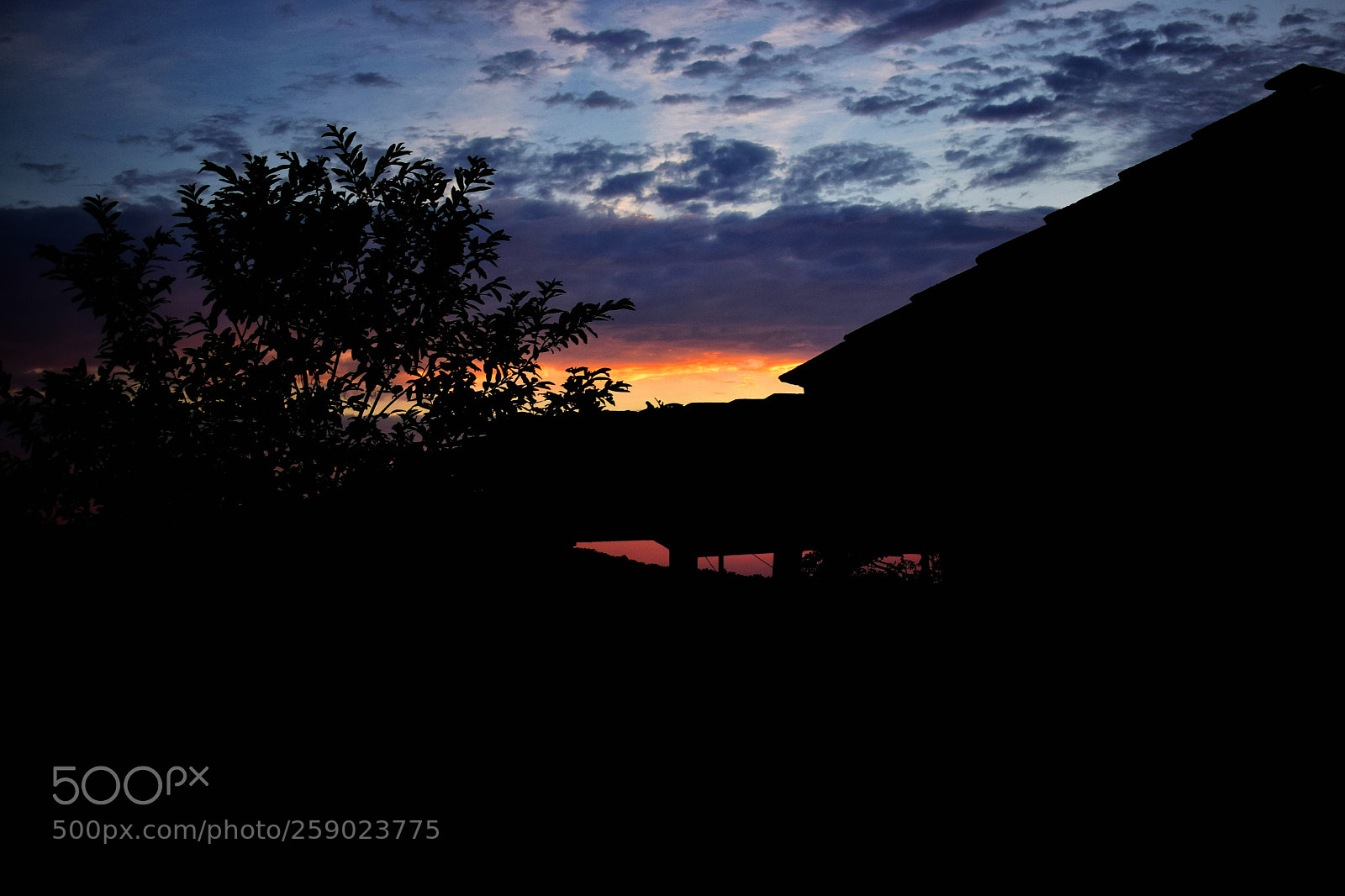 Nikon D5300 sample photo. Silhouette #1 photography