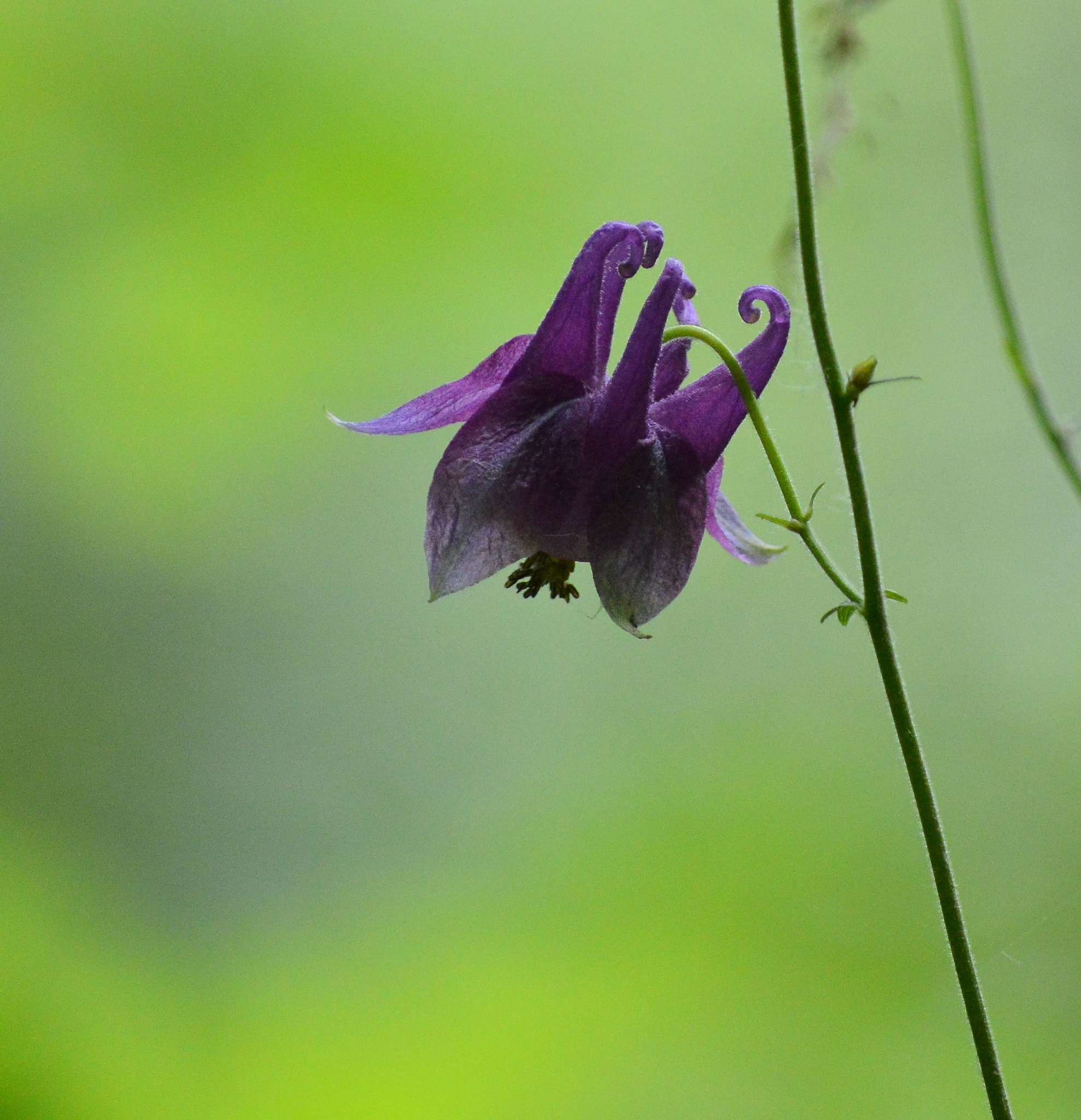 Nikon D3200 sample photo